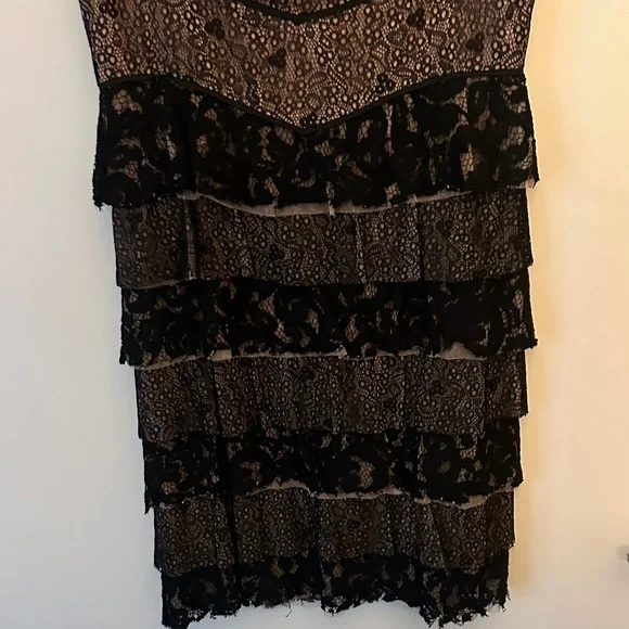 BCBGMaxAzria Black and Nude Lace Dress - Picture 4 of 9